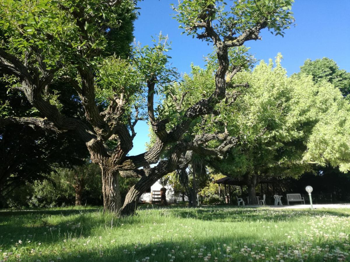 那不勒斯别墅住宿加早餐旅馆 巴蒂帕利亚 外观 照片